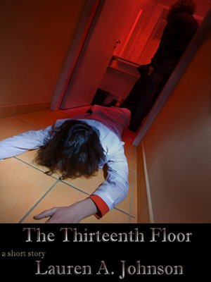 cover image of The 13th Floor